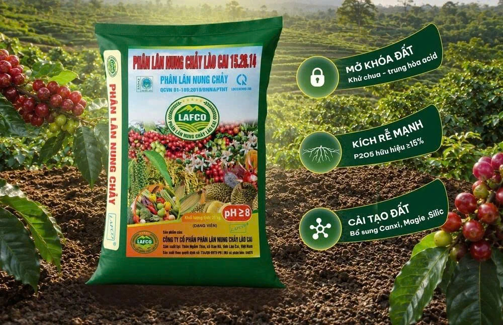 Fused phosphate fertilizer (FMP)