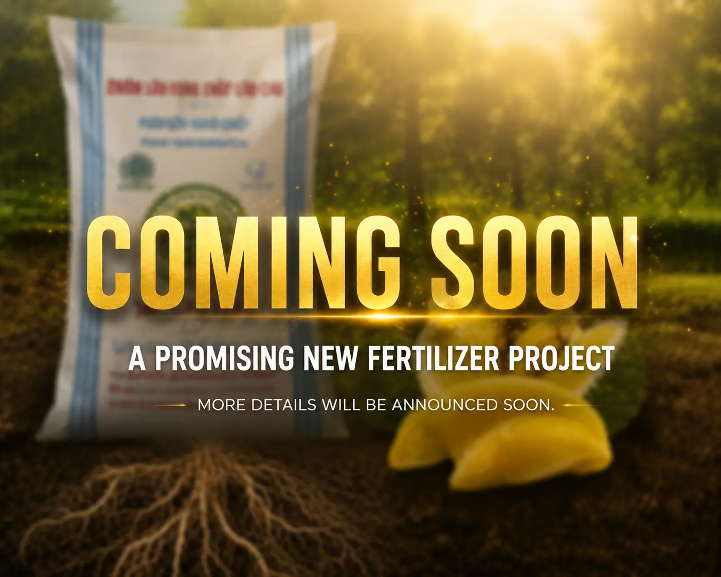 NPK Fertilizer