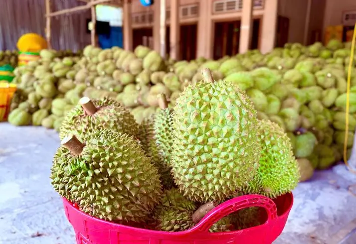 Cadmium-Contaminated Durian: Soil and Fertilizer Are Also Part of the Equation
