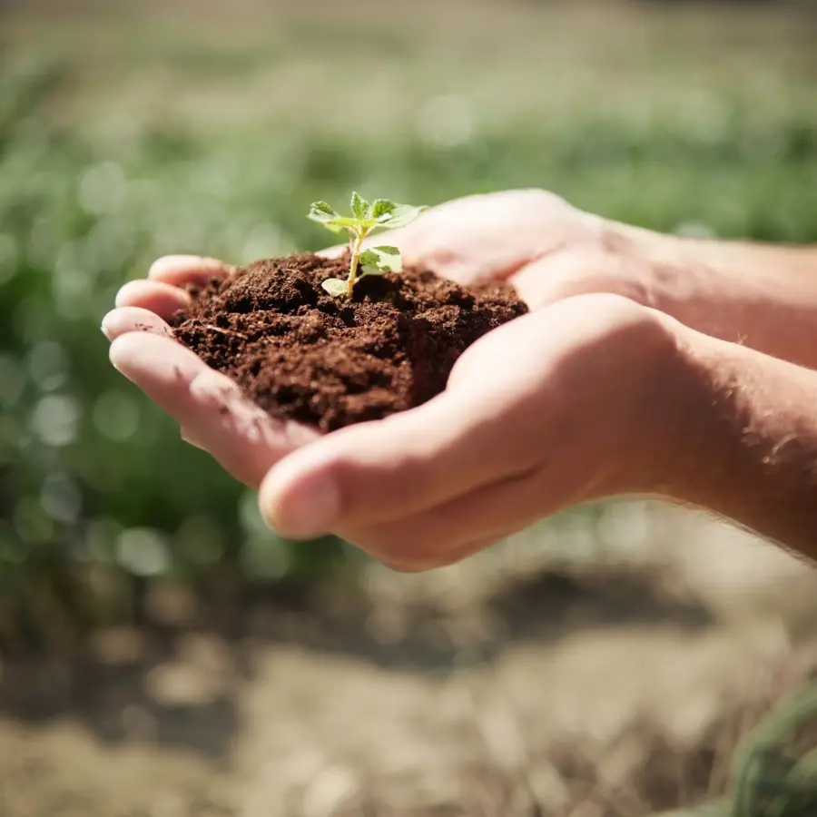 Identifying and Improving Acidic Soil and Eroded Sloped Land