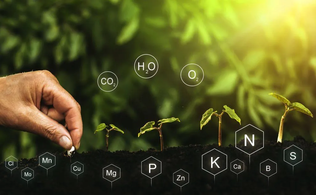Cultivation Area Standards