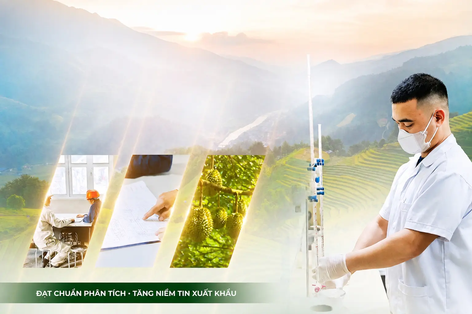 Khi Sầu riêng nhiễm cadimi, đất và phân bón cũng là một phần của bài toán