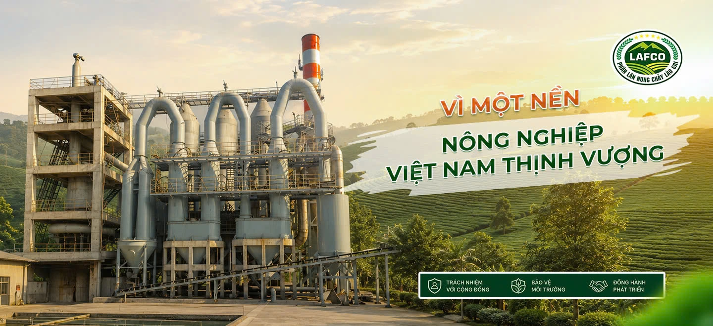 From Lao Cai Apatite Ore to the Fertilizer Bag in Farmers' Hands Elevating Agriculture
