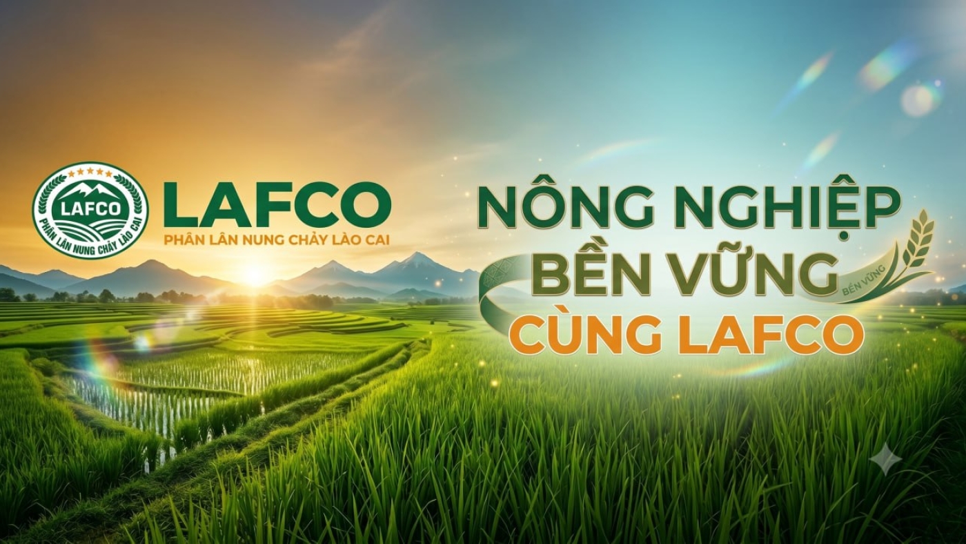 Nông nghiệp bền vững cùng LAFCO